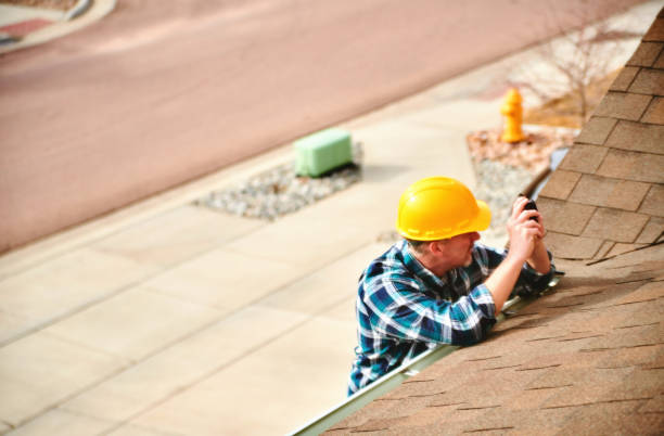 Best Roof Gutter Cleaning  in Mabscott, WV